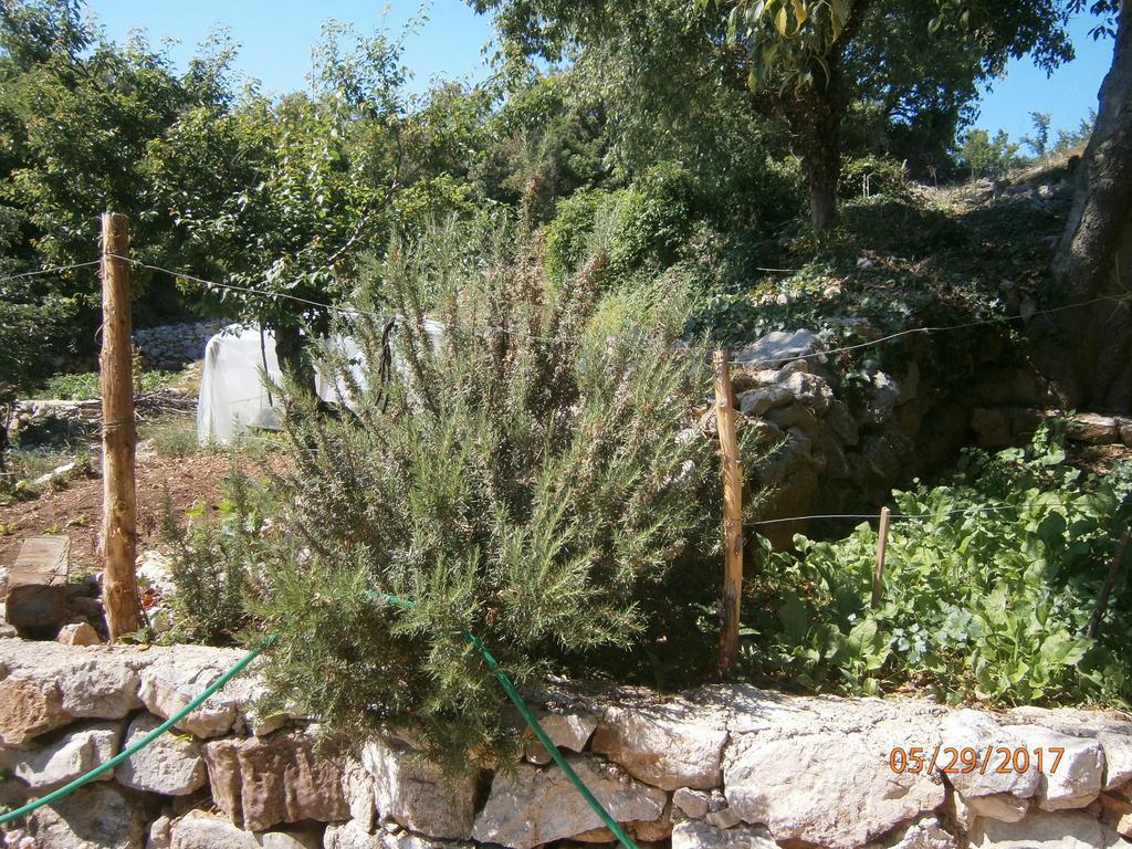 Holiday Home Loznati Cres Exterior foto